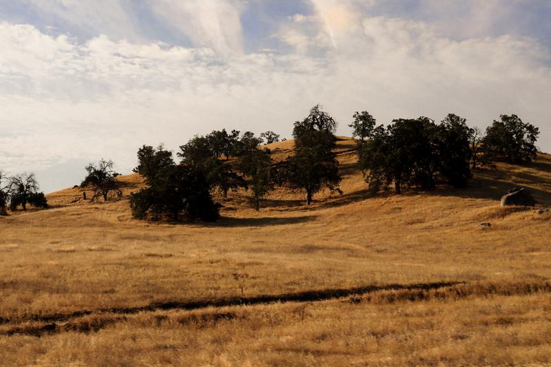 Foothills
